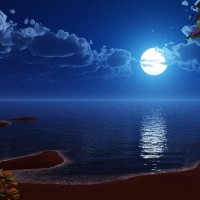 moonlitnights05